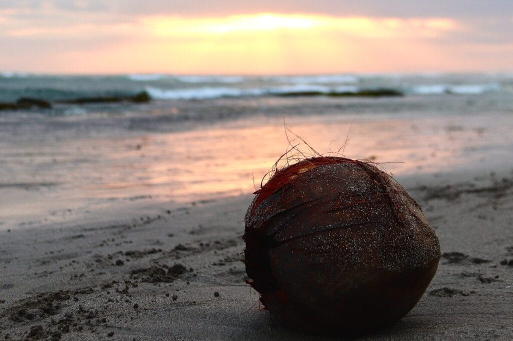 Canggu, Bali, Indonesia | Bali for digital nomads