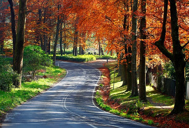 Autumn in Melbourne